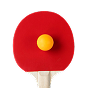 Prince Ali Casino | table-tennis
